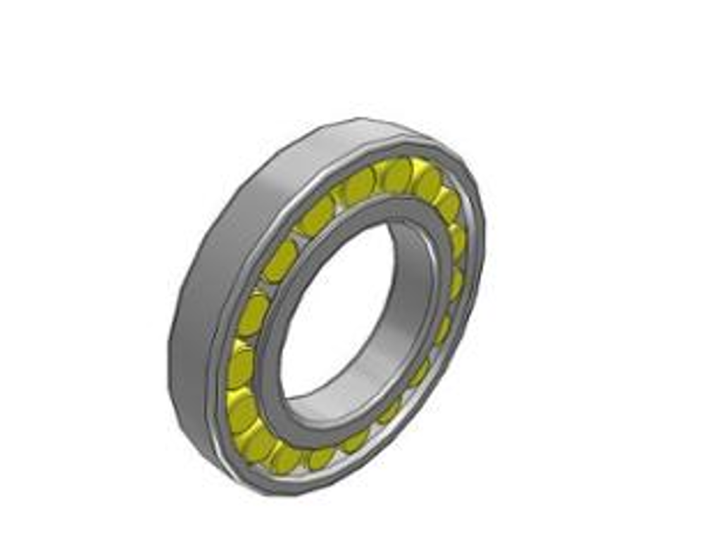 CRL 40 AMB SKF Rulleleje
