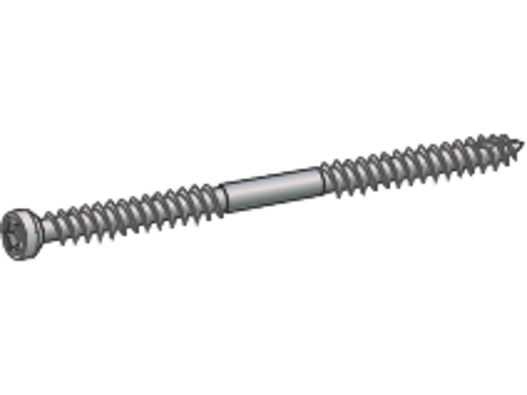 Konstruktionsskrue 6,5X130 TX30 CS (100)
