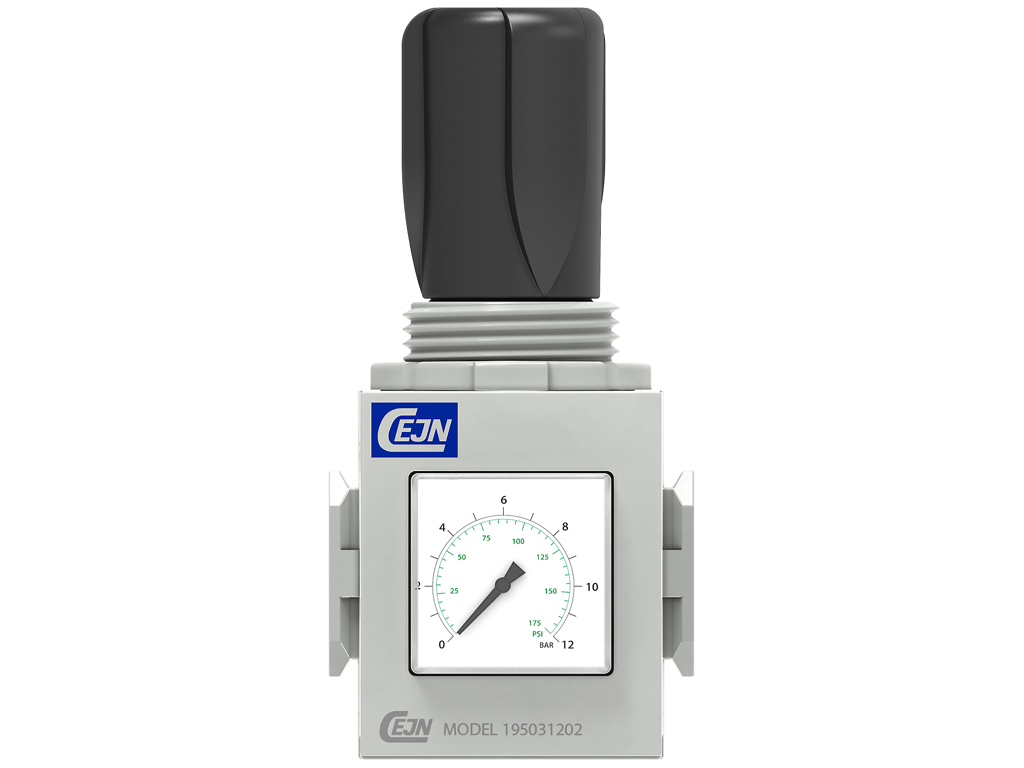 Regulator Cejn 1/4" Model 651