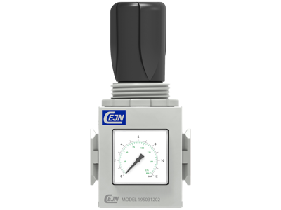 Regulator Cejn 1/4" Model 651