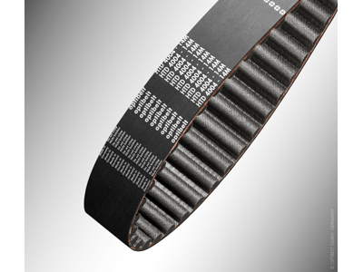 Tandrem 8M 600/20  75tds. Optibelt HP