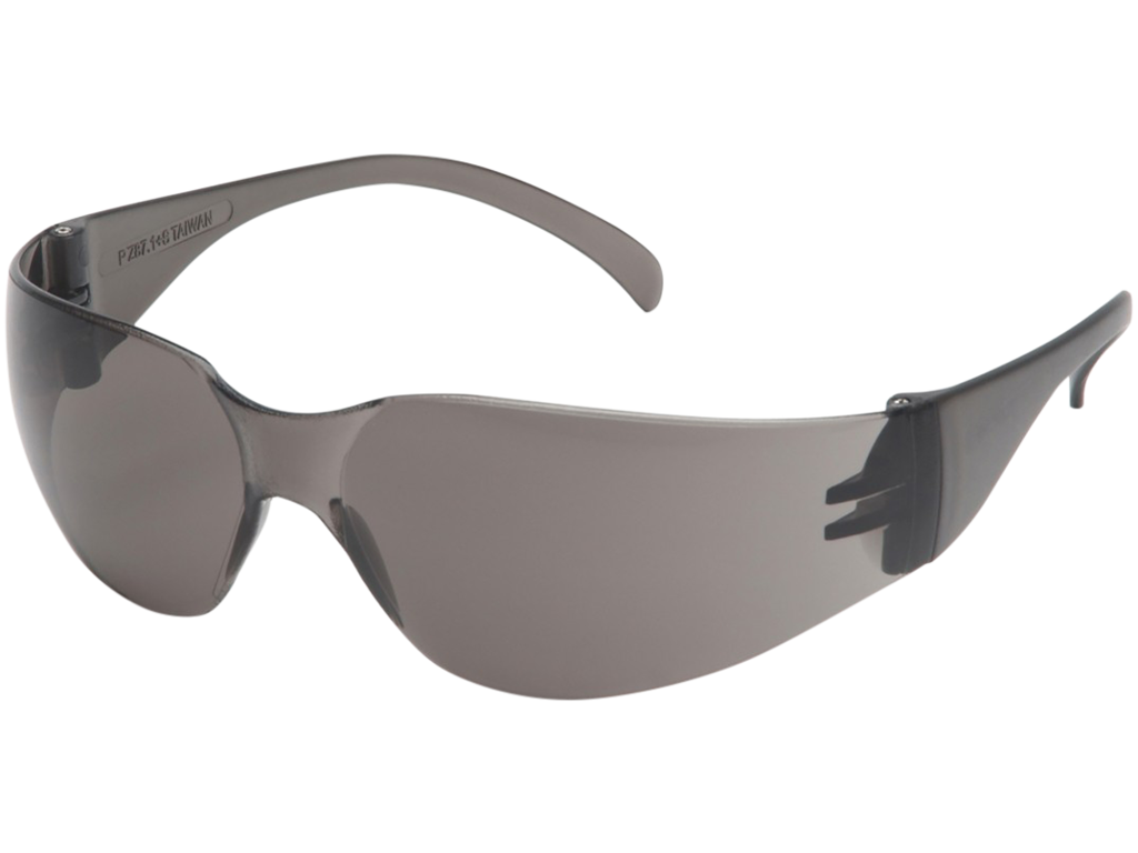 Sikkerhedsbrille Pyramex Intruder grå