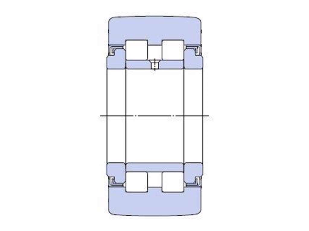 PWTR 4090.2RS SKF leje
