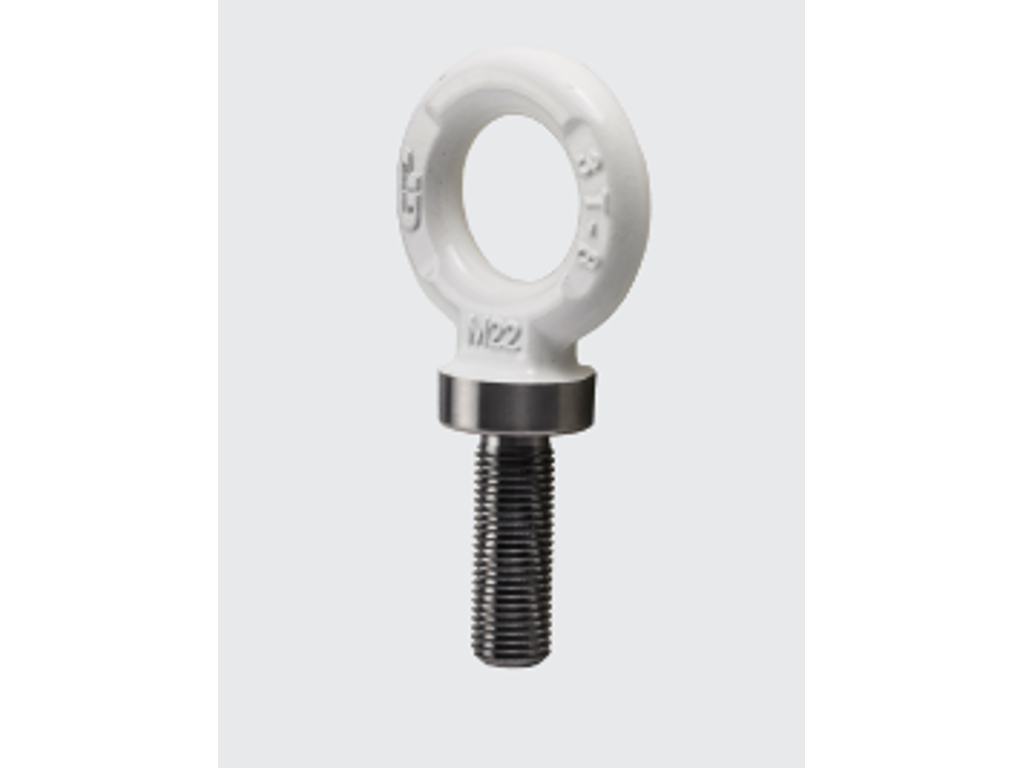 Øjebolt M10x30 SWL 0,7 ton,