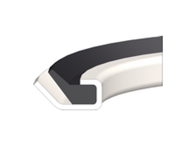Gammaring CR 17x32x4mm RB