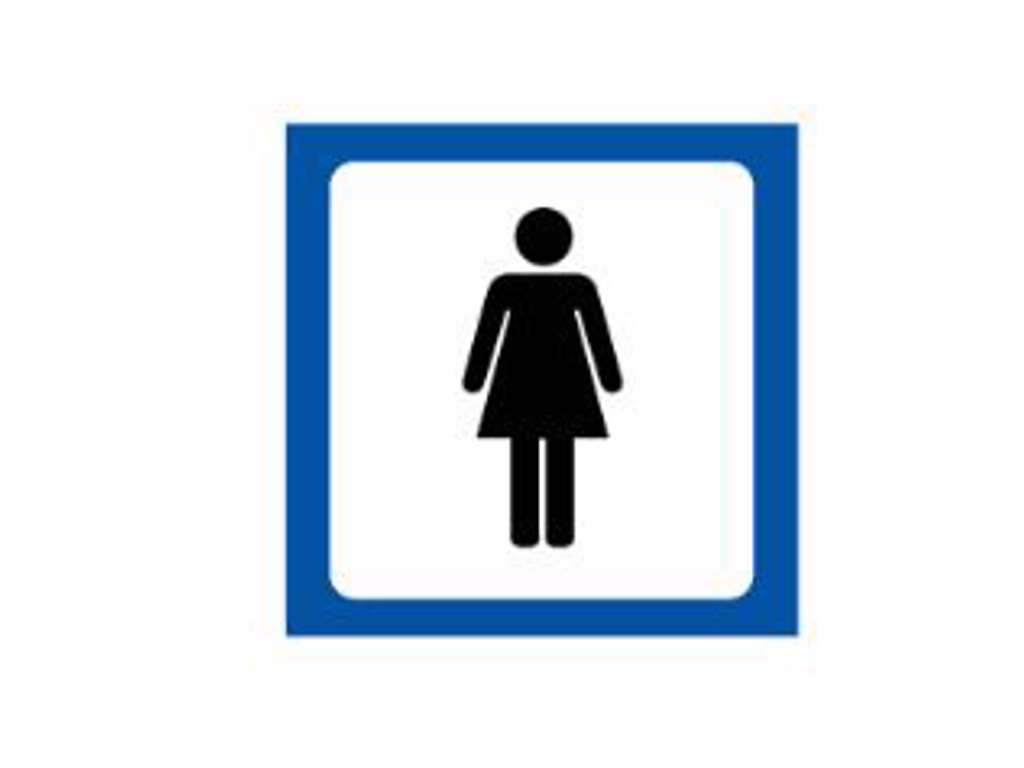 DAMETOILET 100x100mm