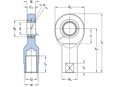 SI 20 ES-2RS SKF Ledleje