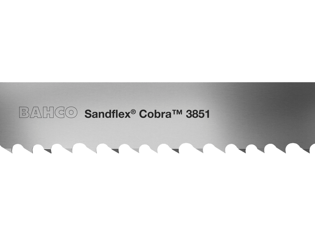 Båndsavklinge 3025x27x0,9 M42 6/10