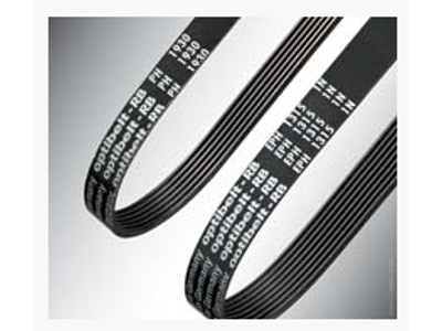 Ribberem PJ 1168/6 Poly-V Optibelt RB