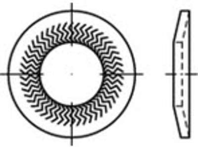 Låseskive 6 mm Teckentrup FZB