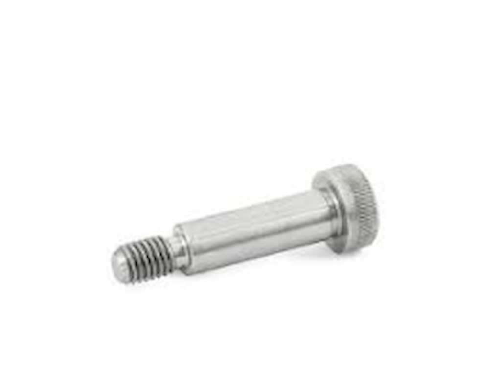 Pasbolt M8 10x25mm A2 DIN7379